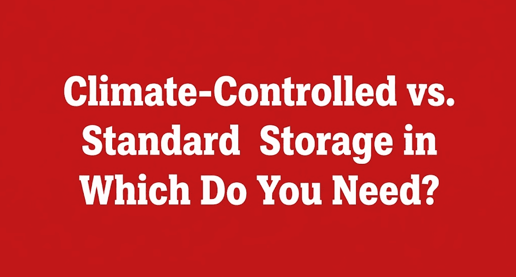 Climate-Controlled vs. Standard Storage in Chicago: Which Do You Need?