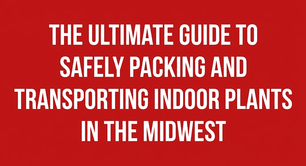 The Ultimate Guide to Safely Packing and Transporting Indoor Plants in the Midwest